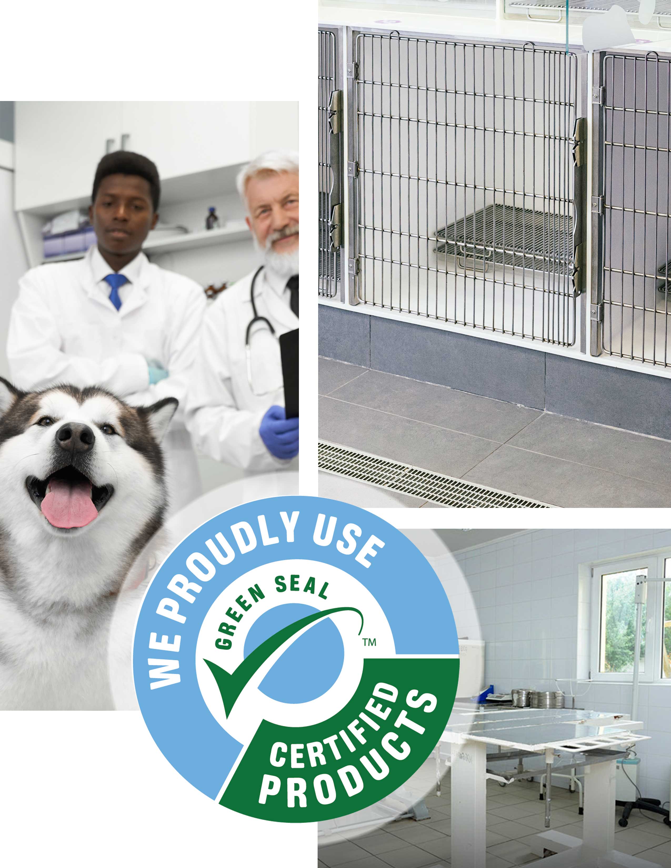 Collage of three images, the first two veterinarians with a husky, a kennel, and an exam table in a veterinary office. 