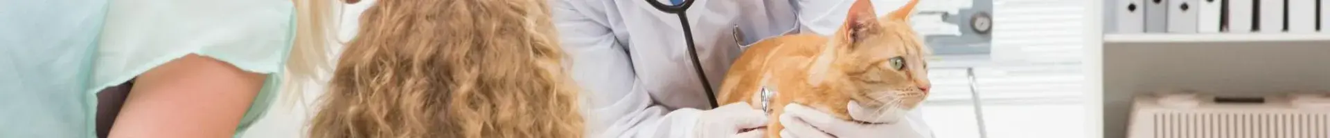  Veterinarian Office Cleaning Services 