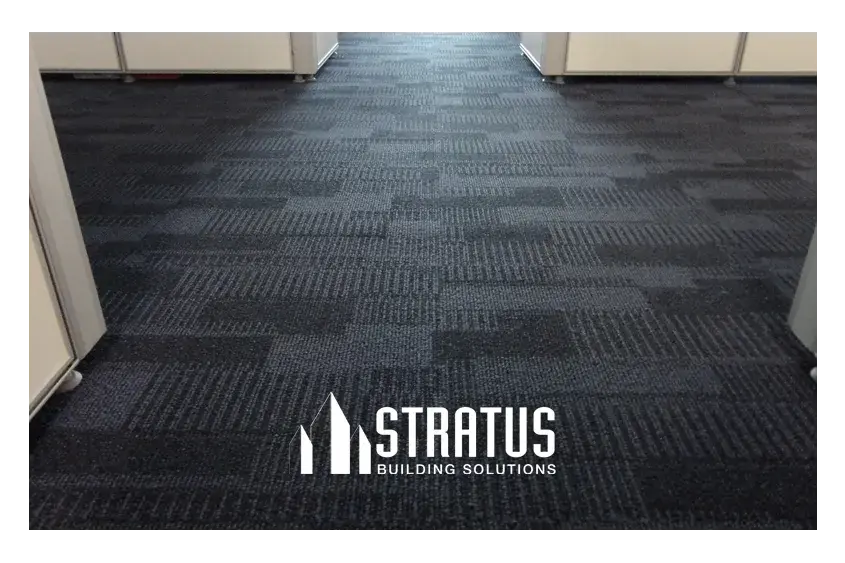 Dark grey commercial carpet in an office setting