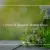 Green Office Cleaning: Tips for a Healthier Workplace